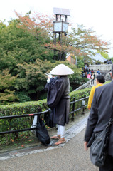 早く紅葉して～とお祈り中