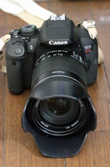 新しいアイボー