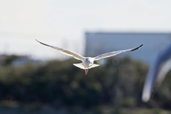 正面シリーズその3