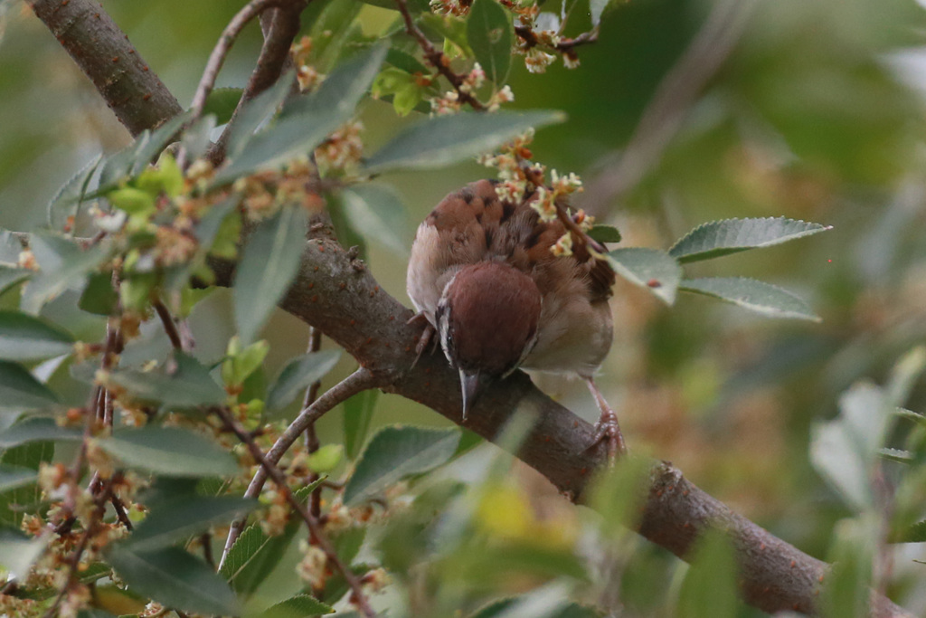 そ～とのぞいて見てごらん♬
