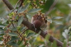 そ～とのぞいて見てごらん♬