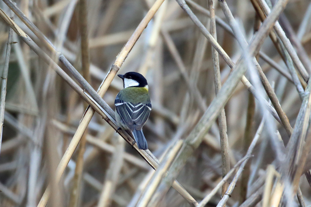 背中きれいですよ～