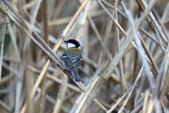 背中きれいですよ～