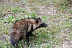 背中は何かを物語る