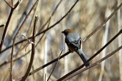 背中も綺麗でしょ