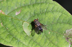 僕だって可愛いでしょ