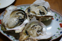 山陰の味覚と言えば・・・