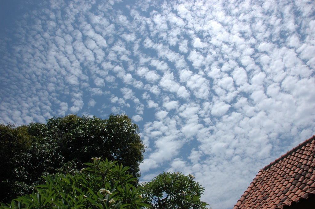 鱗雲