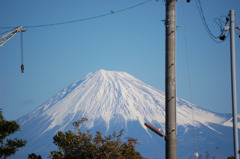 tiny fuji