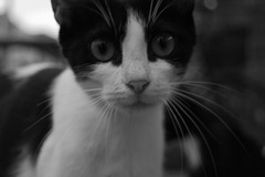 i doN't Nkow WhaT LoVe IS...