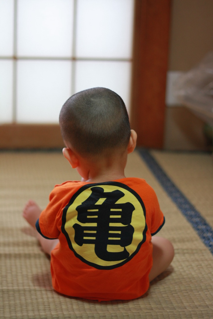 亀