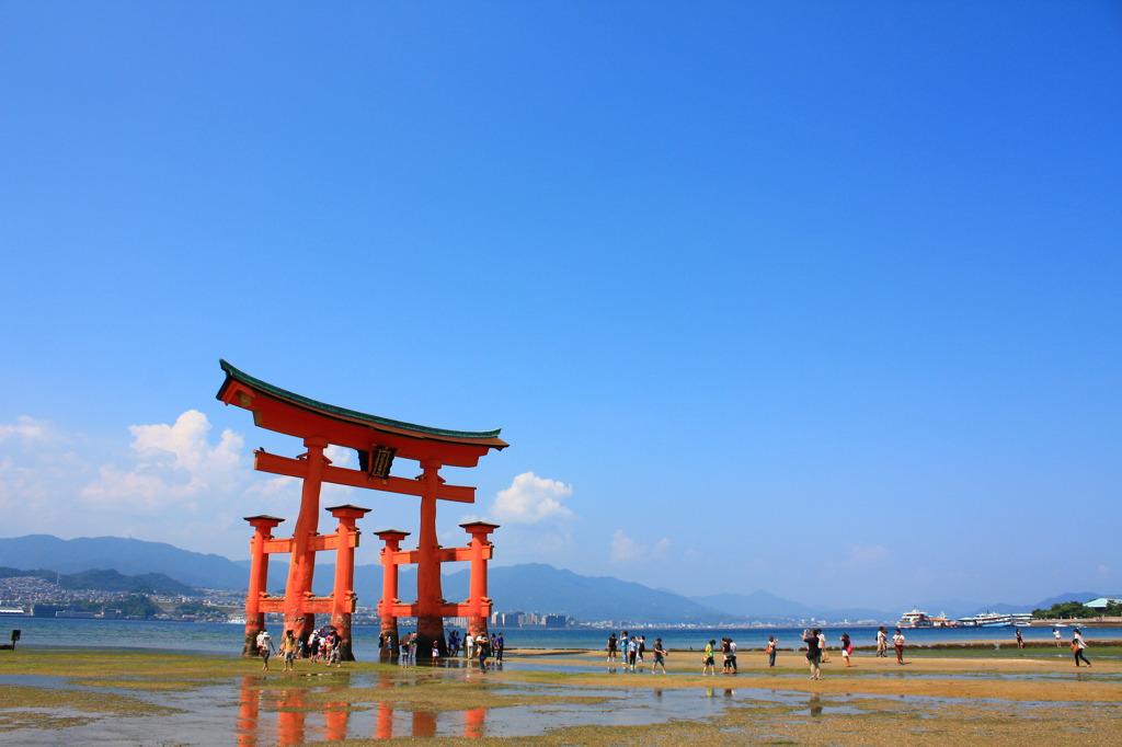 厳島神社  (10)