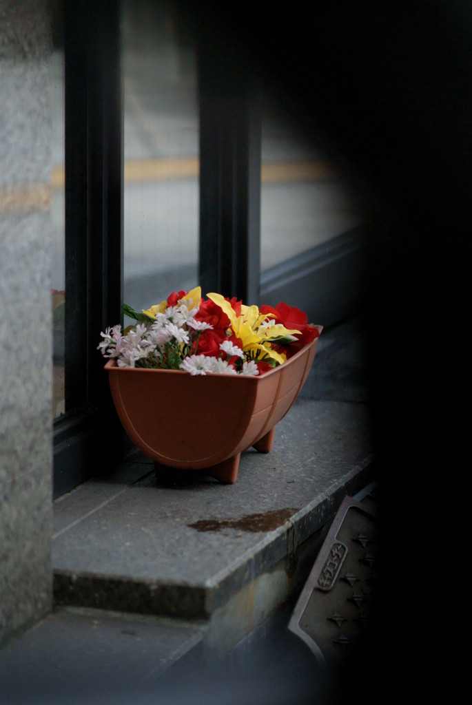 写るんですが・・・