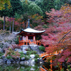 醍醐寺