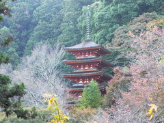 長谷寺　五重塔