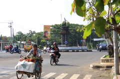 MANGO CROSSROAD 1