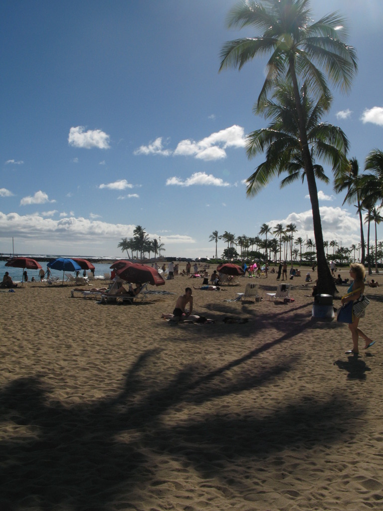 WAIKIKI SUNLIGHT