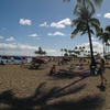WAIKIKI SUNLIGHT