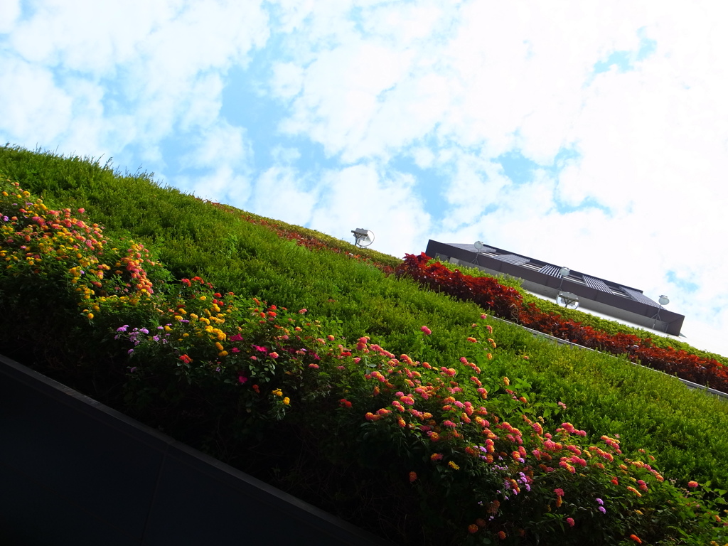GARDEN IN THE SKY