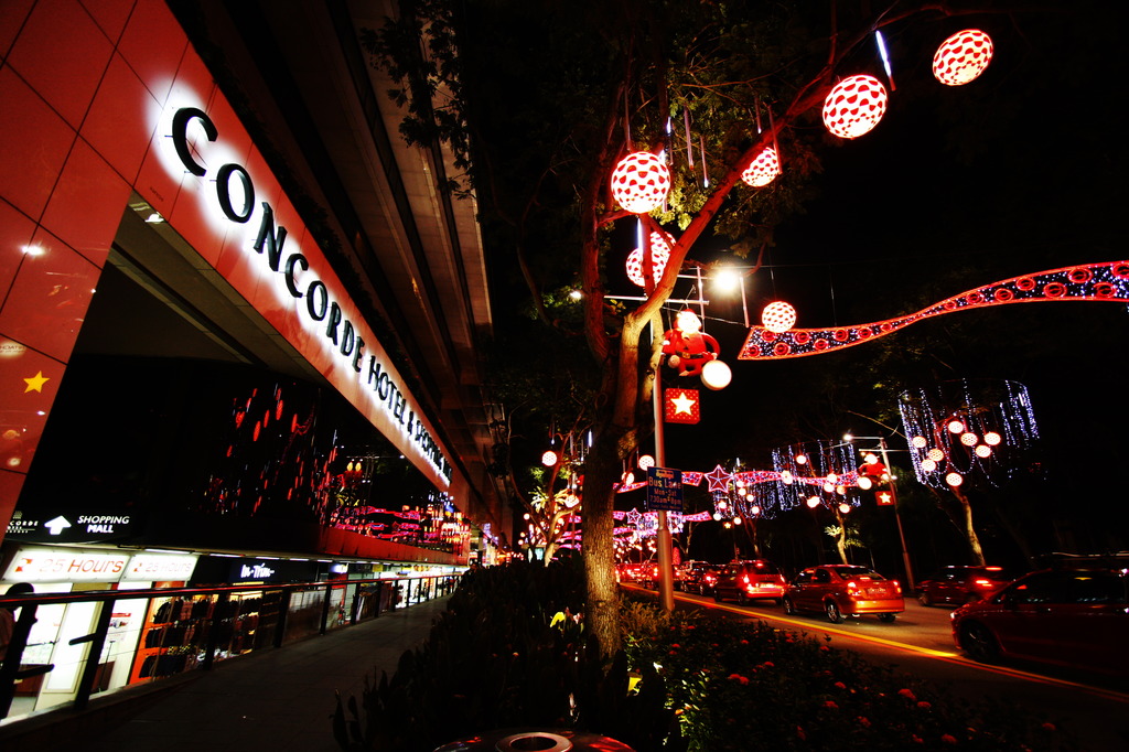 ORCHARD IN CHRISTMAS 11
