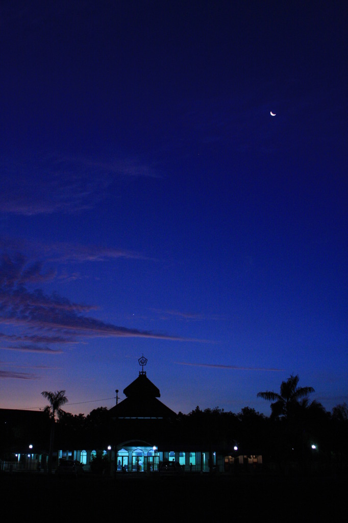 MOSQUE AND MOON