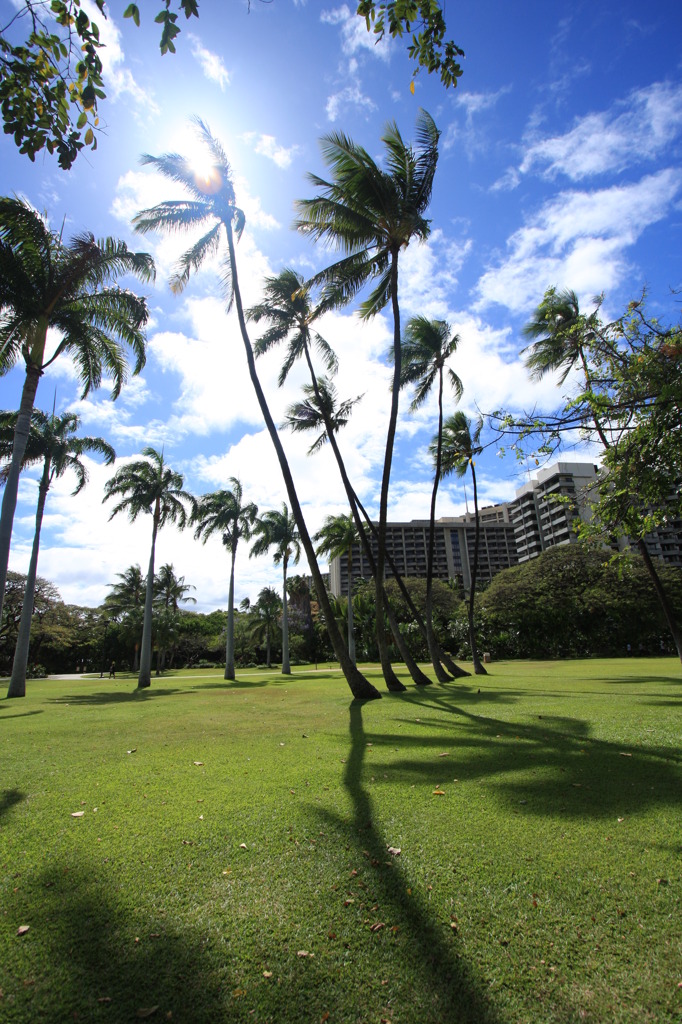 HONOLULU THE BEAUTIFUL