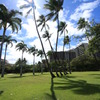 HONOLULU THE BEAUTIFUL