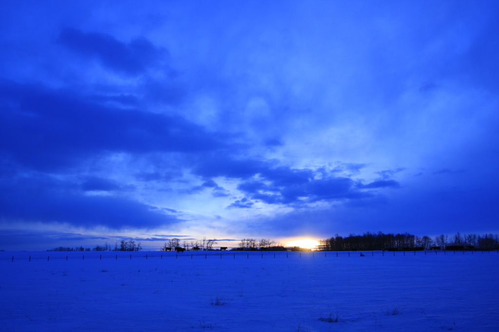 BLUE DAYBREAK