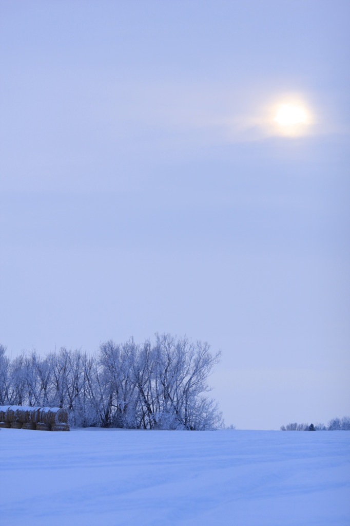 SNOWY SUN