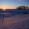 MORNING ON SNOWY FIELD