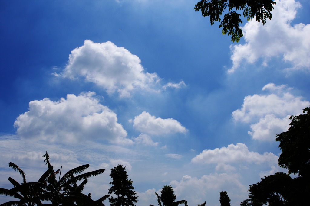 SKY OF JAWA