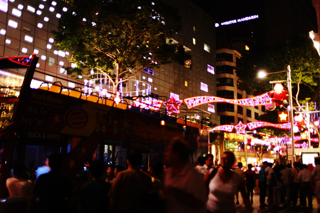 ORCHARD IN CHRISTMAS　1
