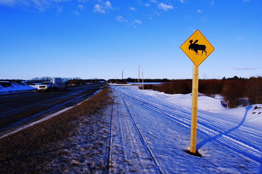 MOOSE CROSSING