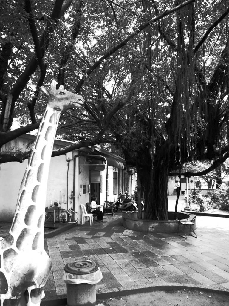 A MOMENT IN TAIWAN 74