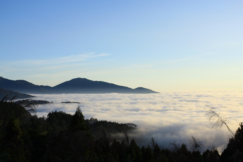 SEA OF CLOUDS AT ALISHAN