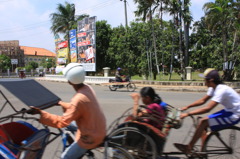 MANGO CROSSROAD 4