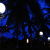 LIGHT, BLUE