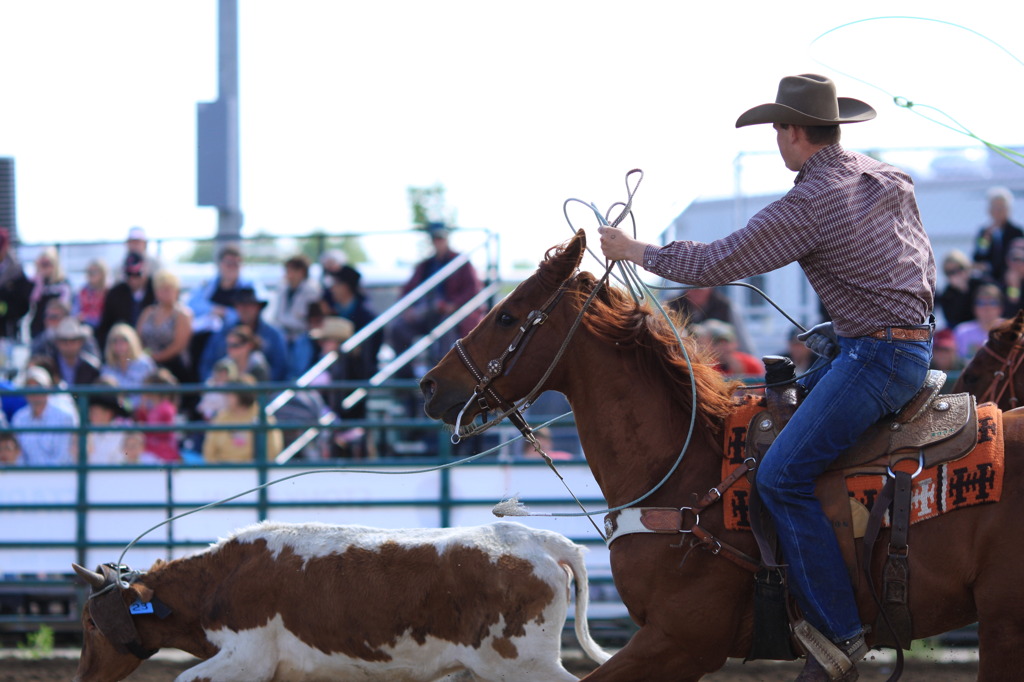 FARMER'S DAY / TEAM ROPING