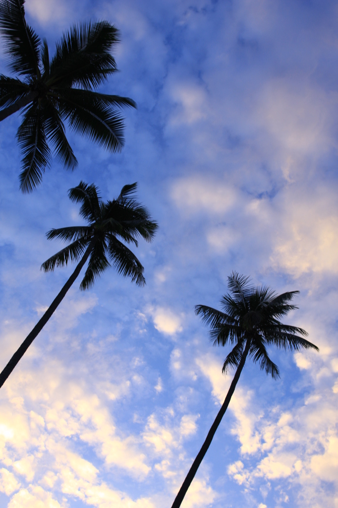 A DAY AT BINTAN ISLAND 9