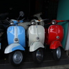 トリコロール