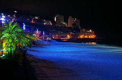 海岸