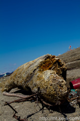流木