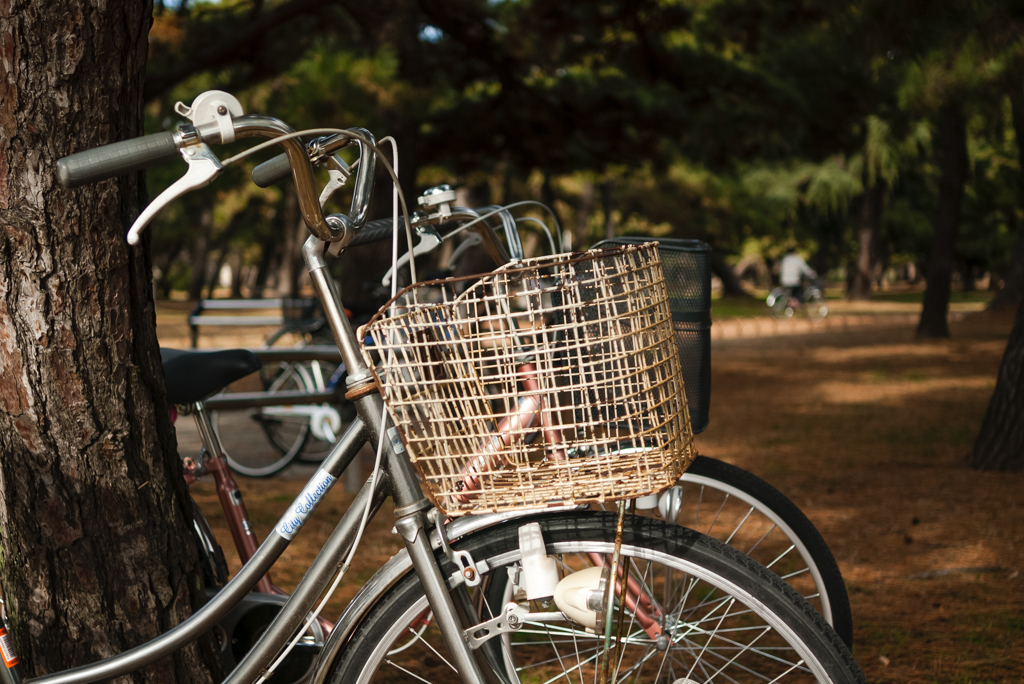 冬の公園にて