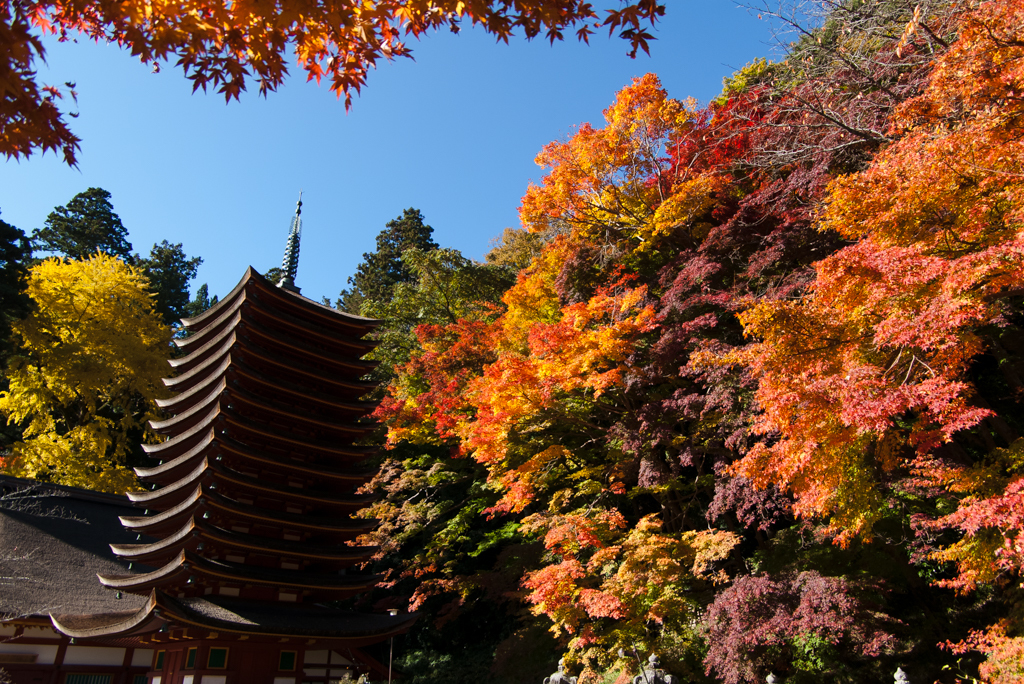 紅葉　談山神社　＃002