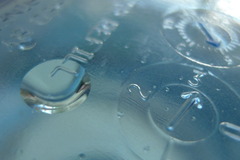 HAWAII WATER