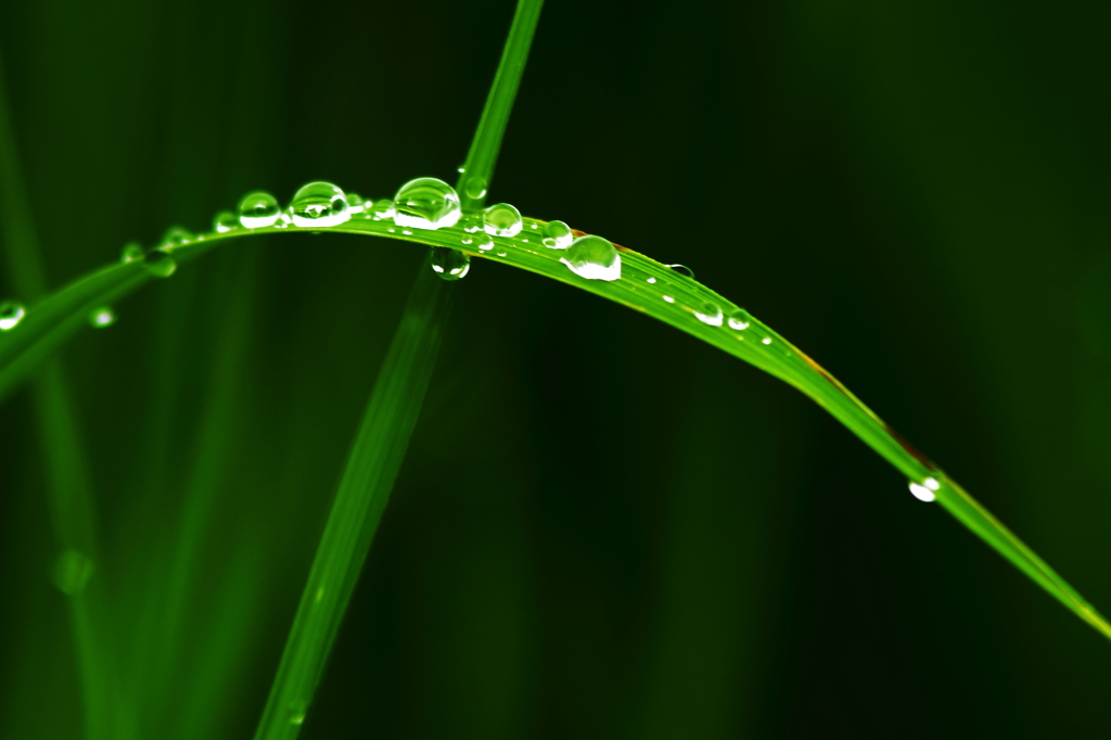 撥水