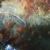 油絵