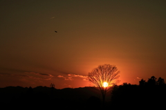 ベランダからの夕景です^o^/