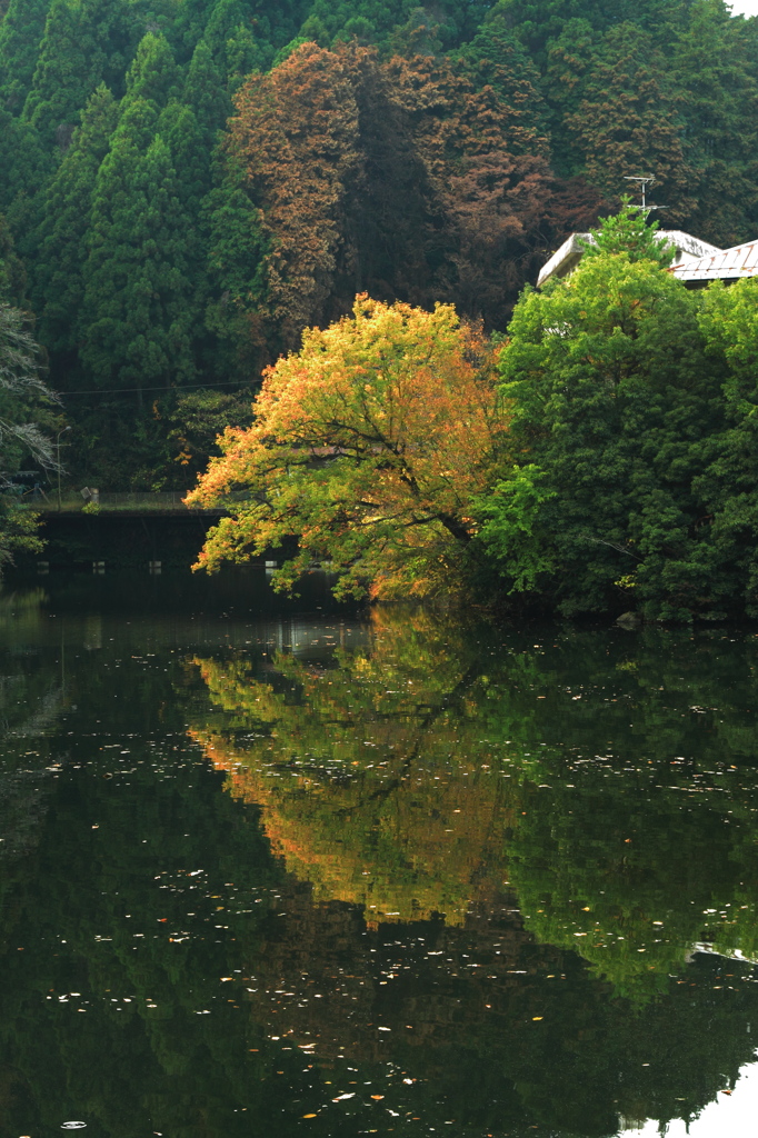 秋色のはじまり^^Ⅲ