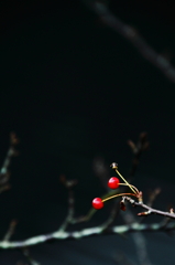 紅二点